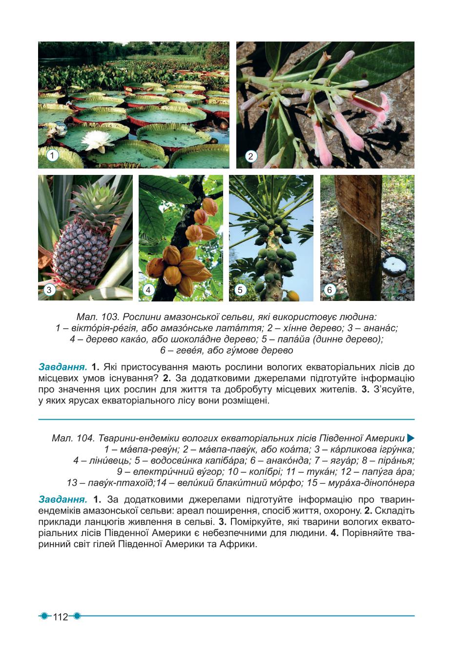 Мініатюра 112