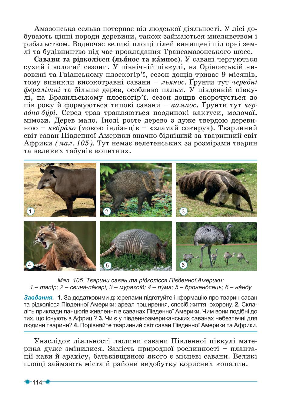 Мініатюра 114