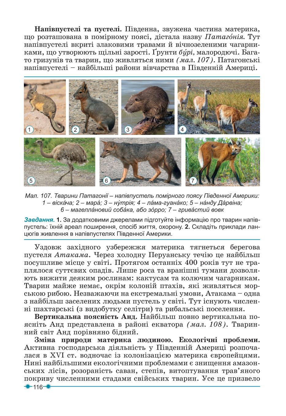 Мініатюра 116