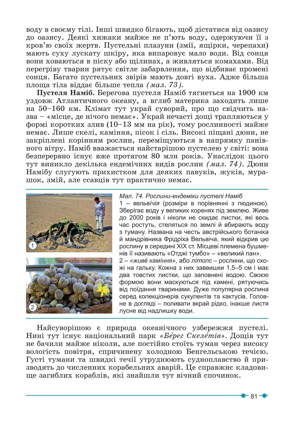 Мініатюра 81