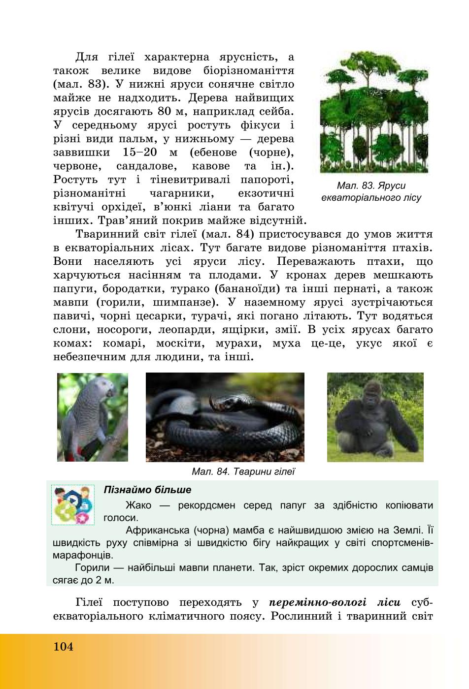 Мініатюра 104