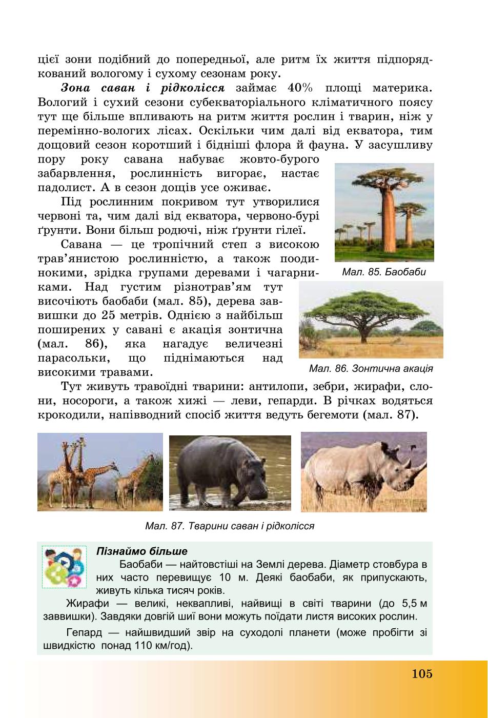 Мініатюра 105