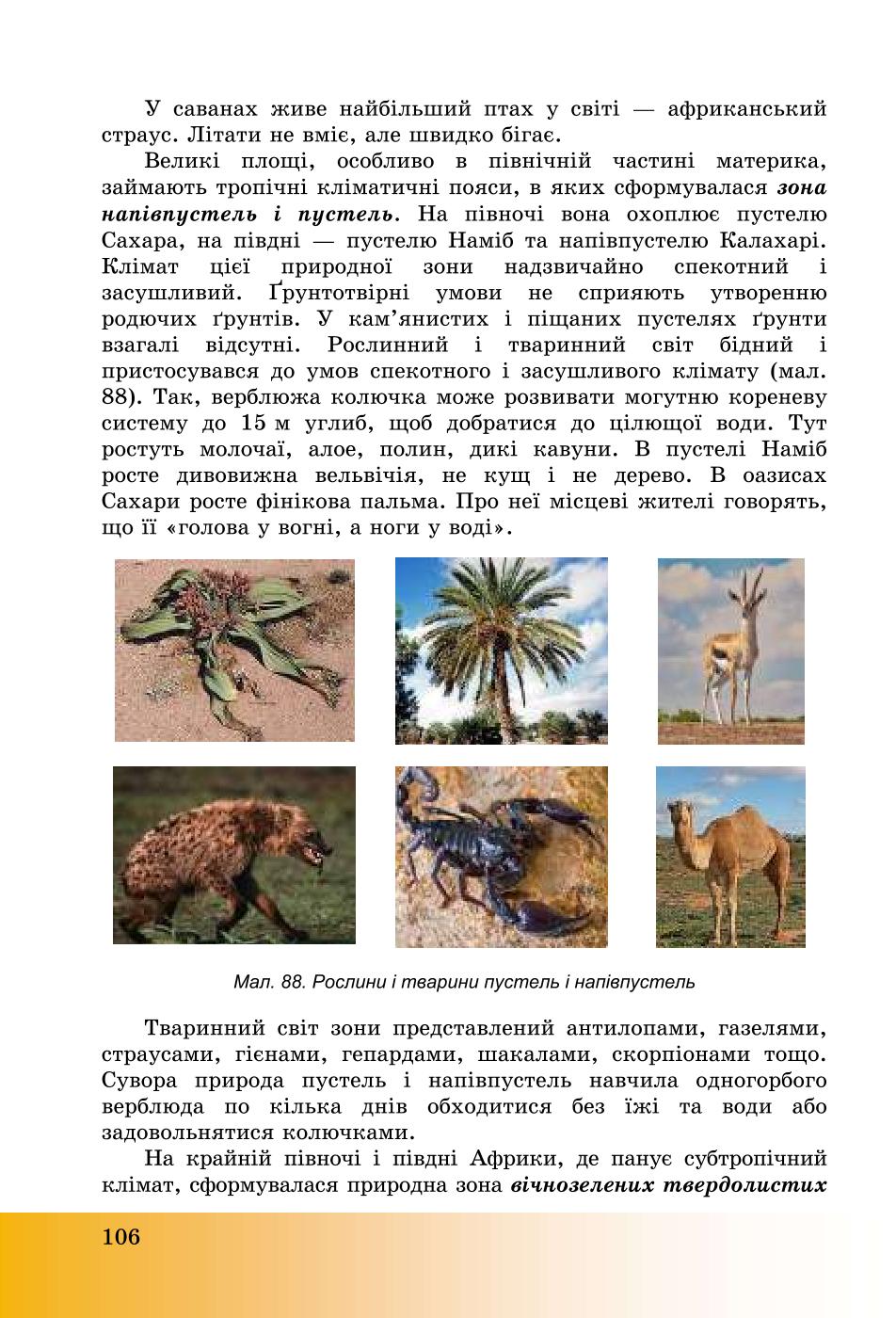 Мініатюра 106