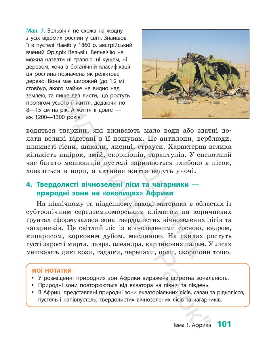 Мініатюра 101