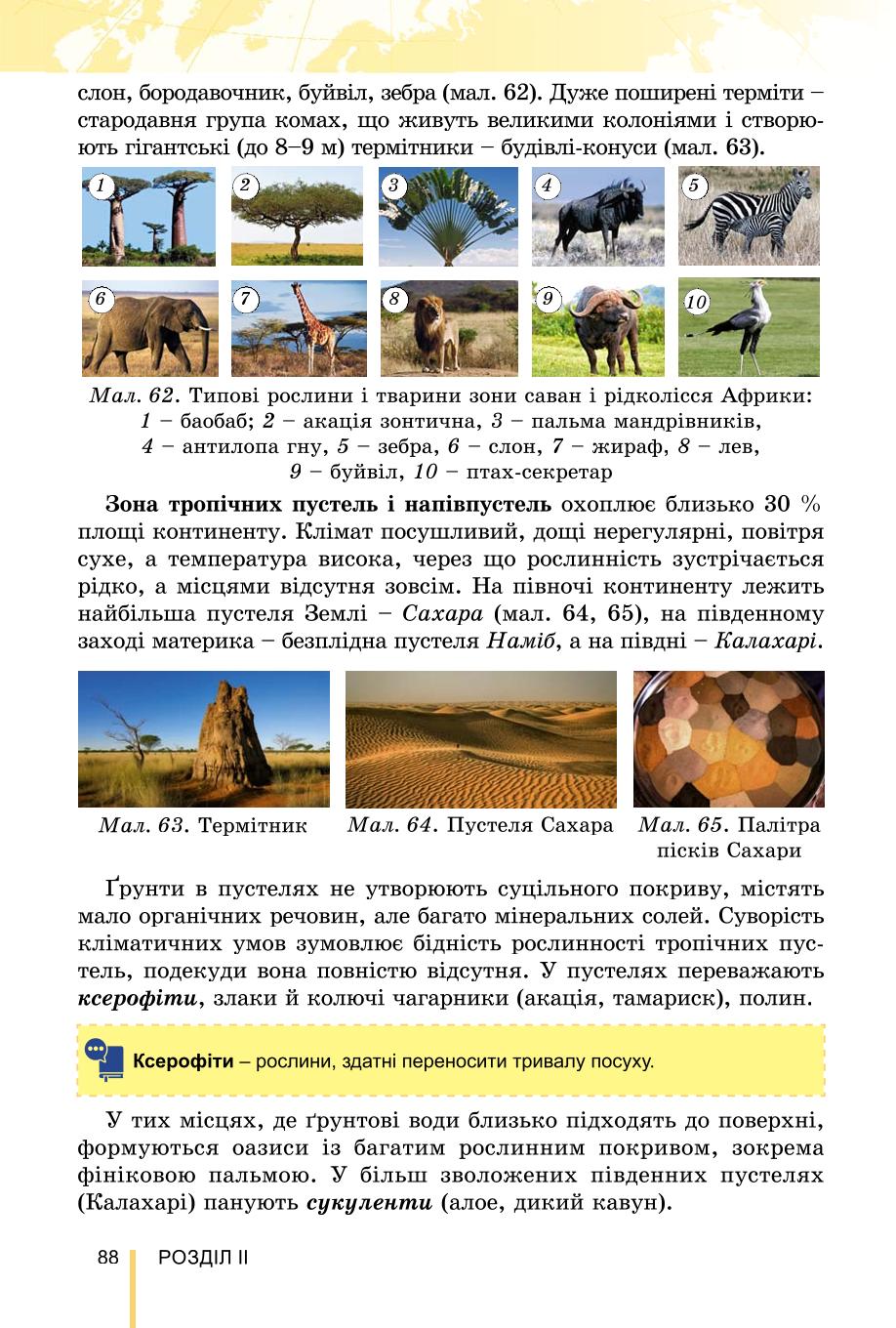 Мініатюра 88