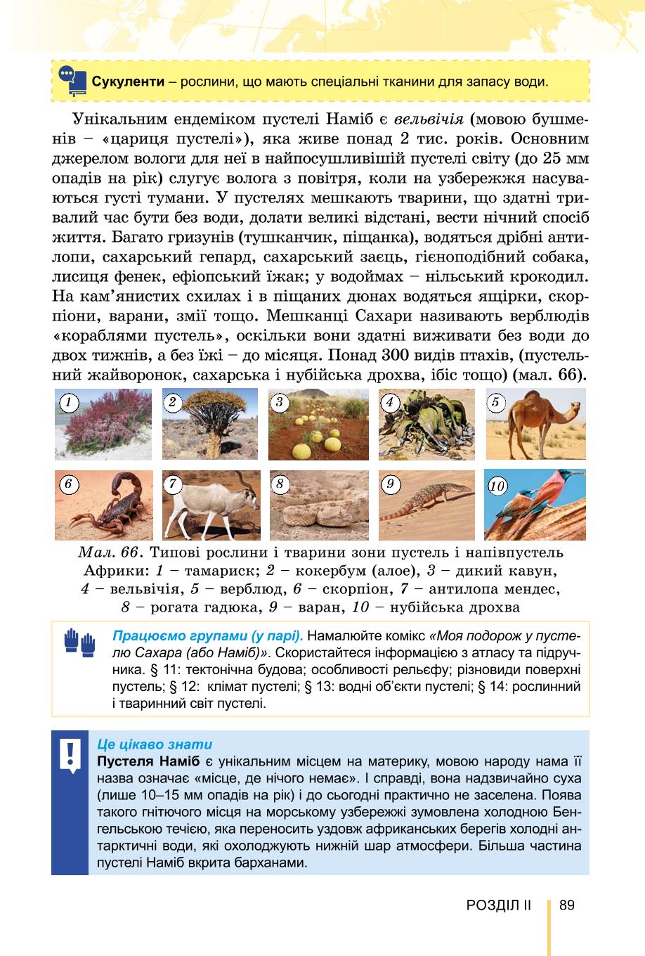 Мініатюра 89