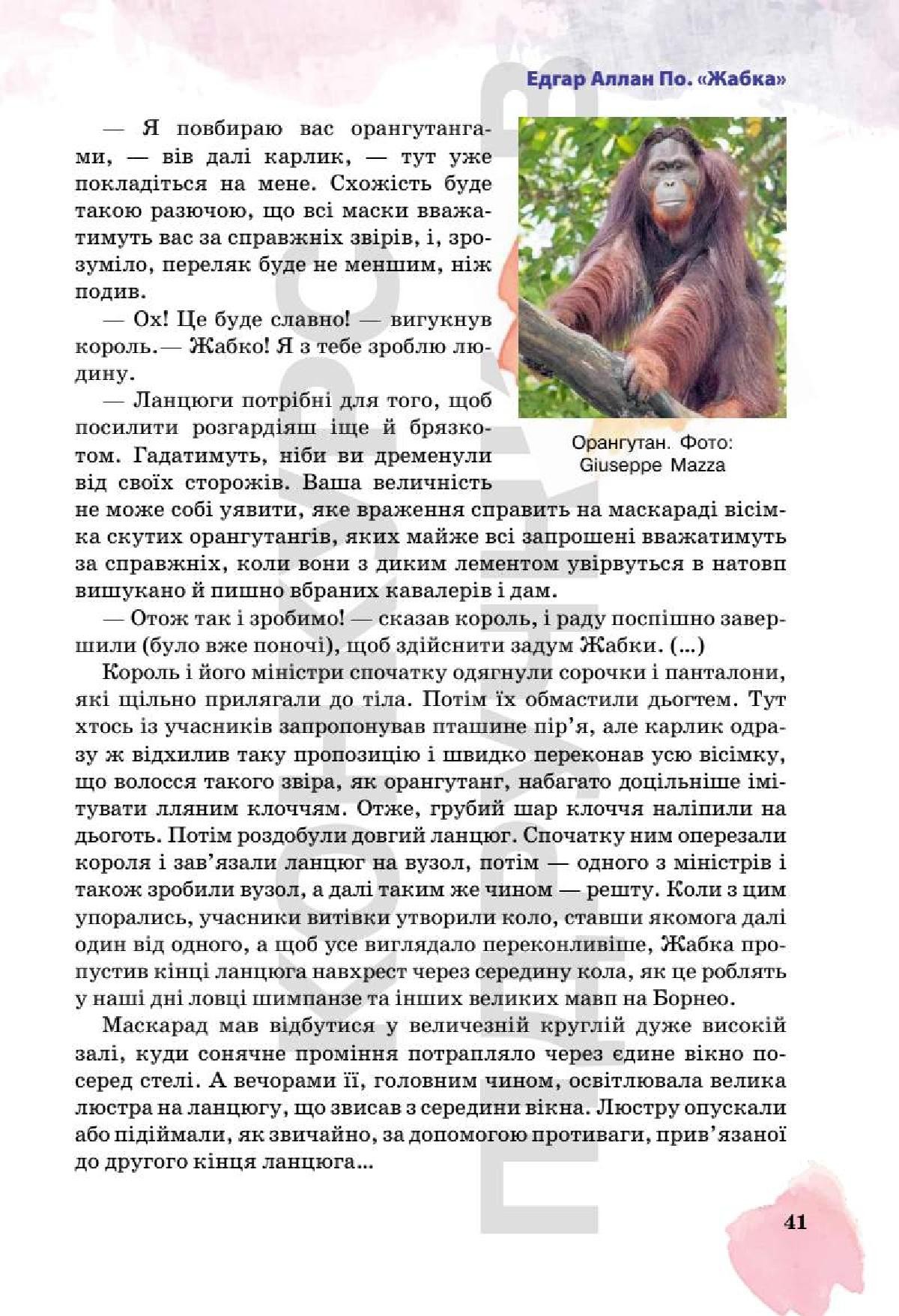 Мініатюра 41