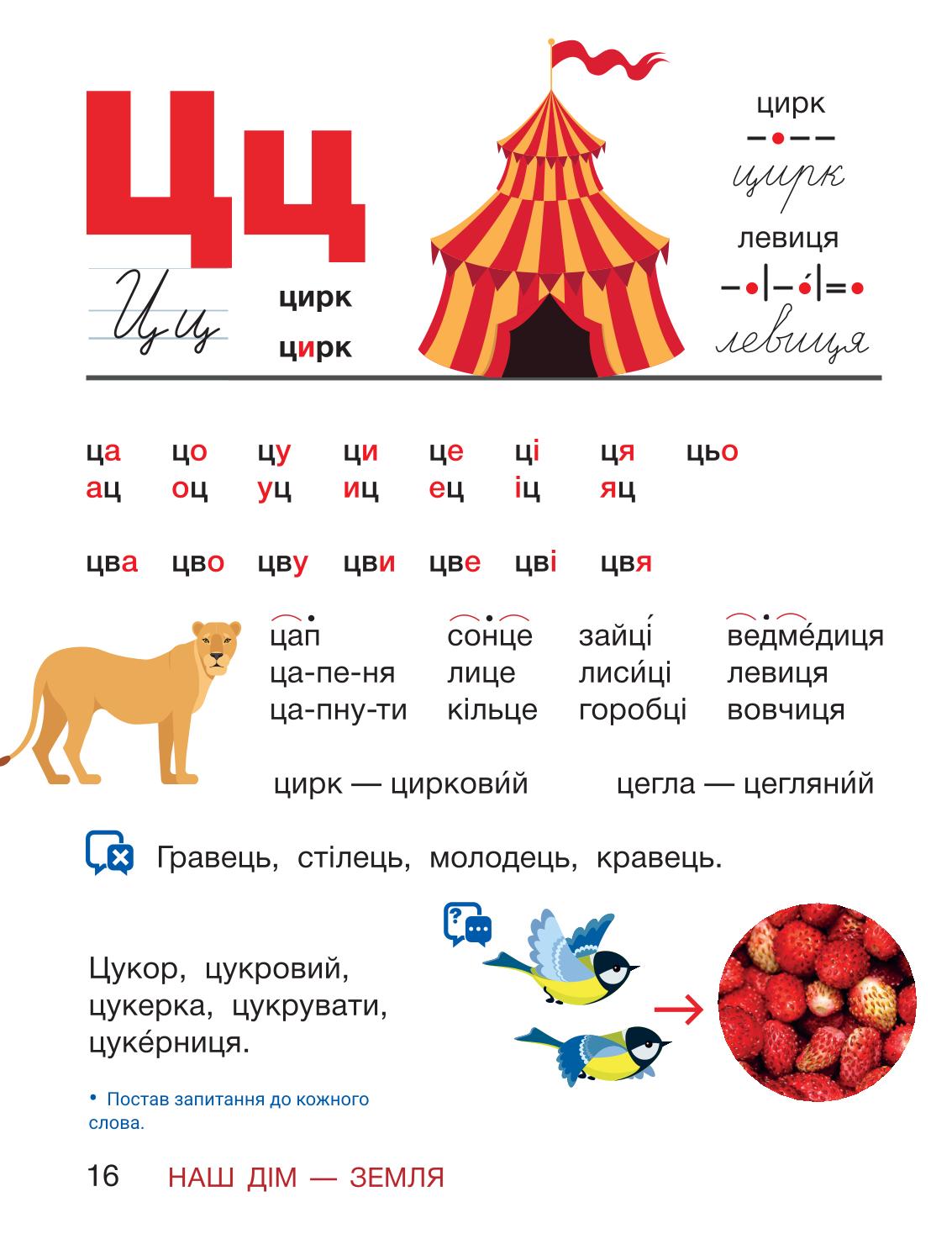 Мініатюра 16