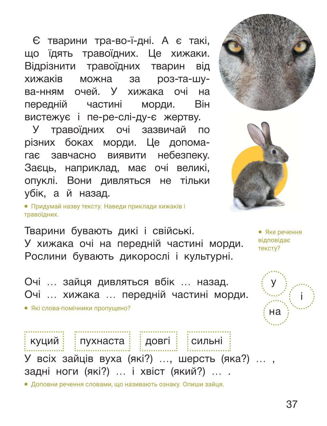 Мініатюра 37