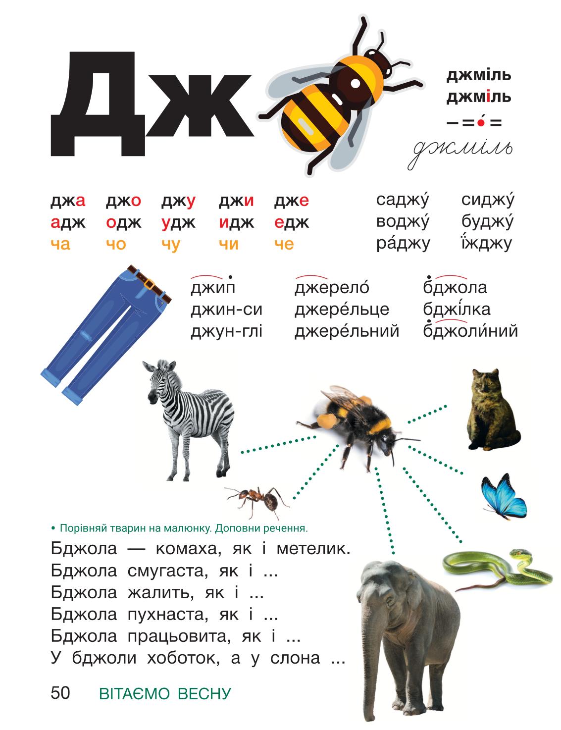 Мініатюра 50