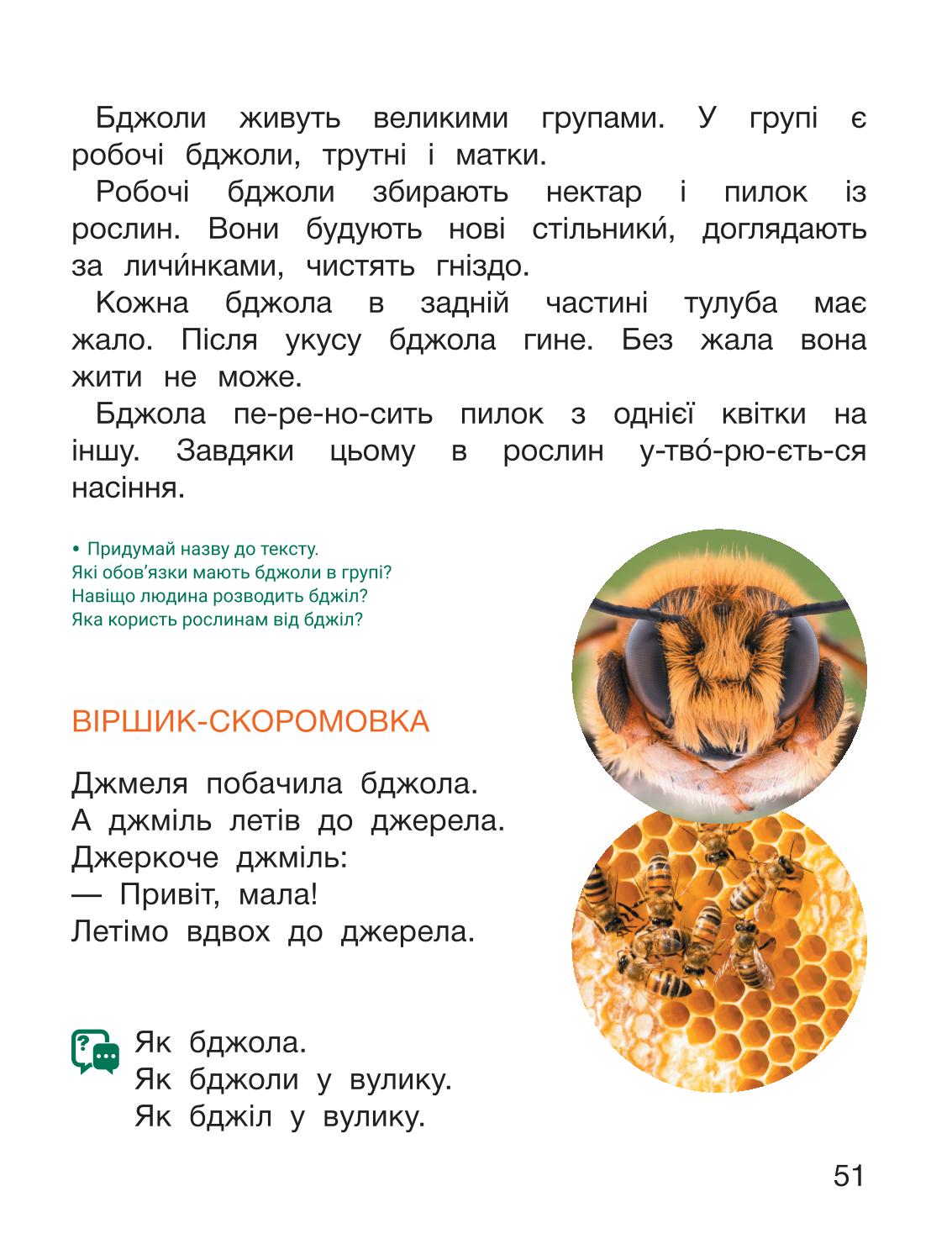 Мініатюра 51