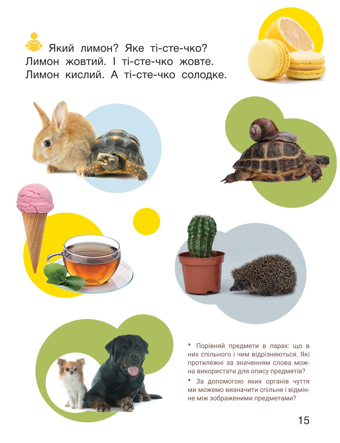 Мініатюра 15