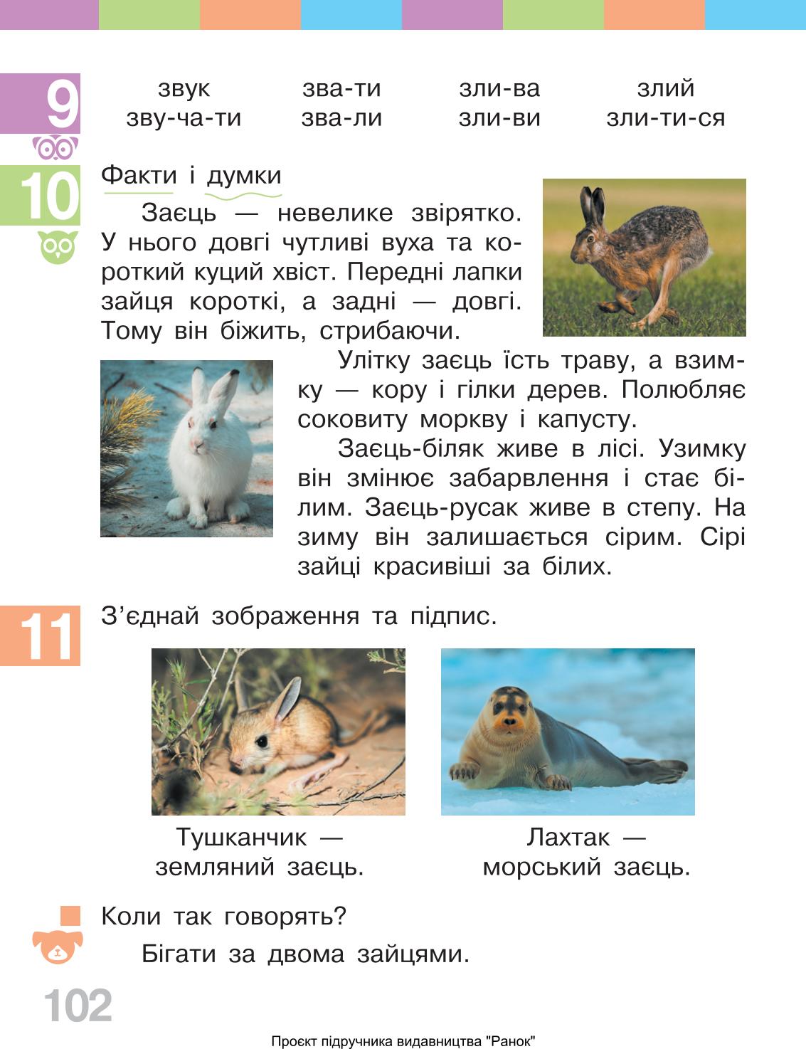Мініатюра 102