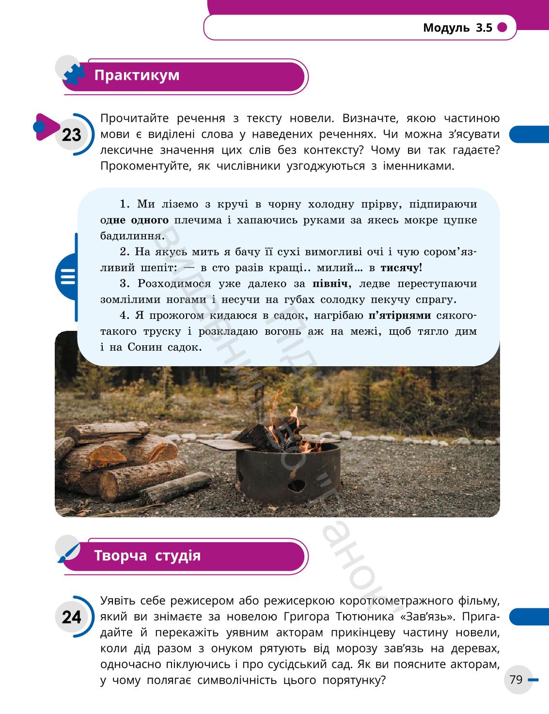 Мініатюра 79