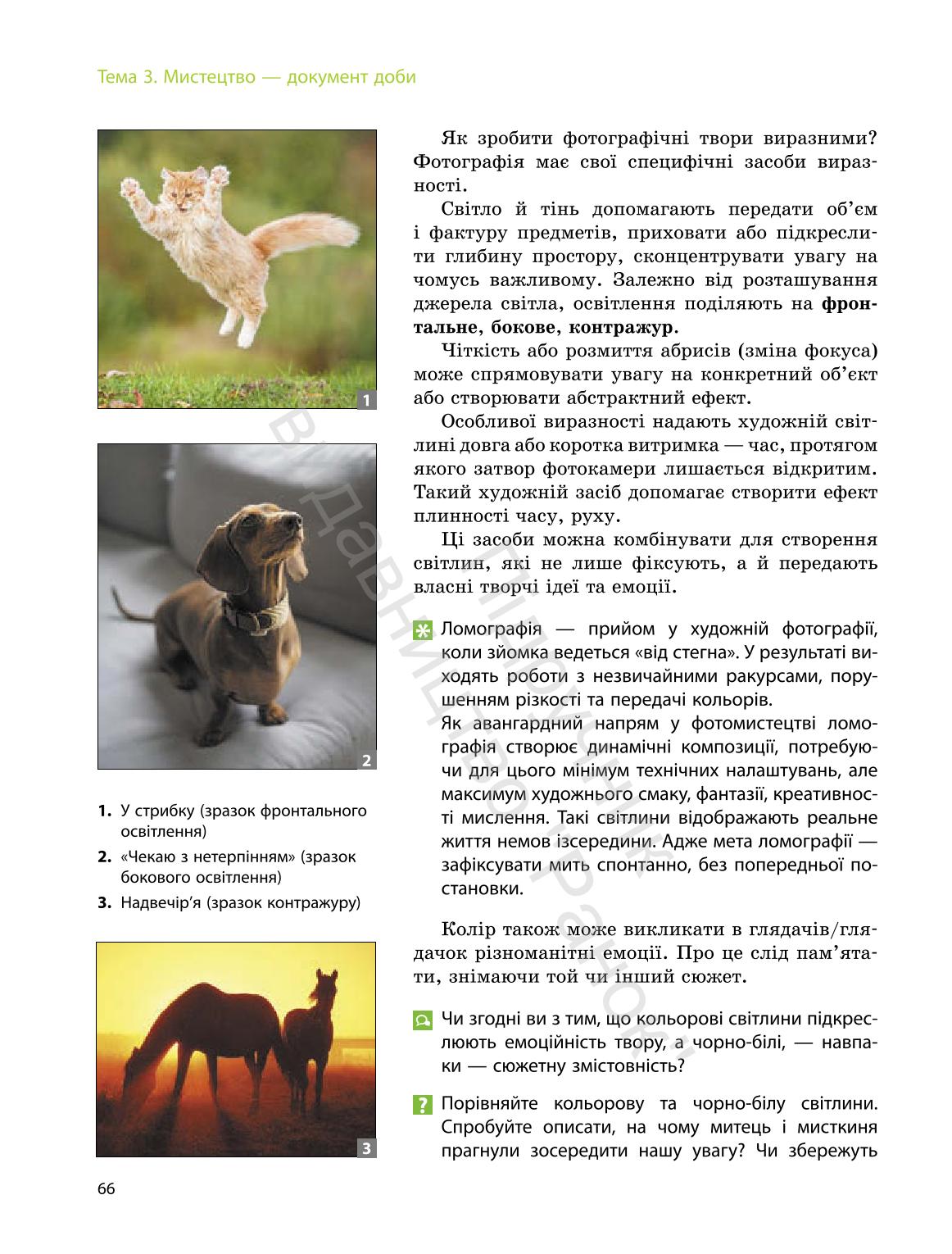 Мініатюра 66