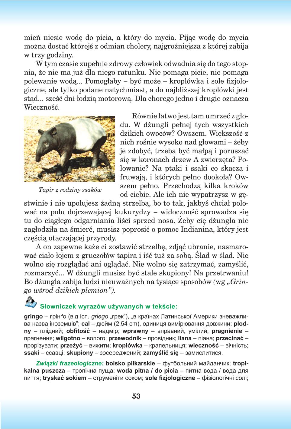 Мініатюра 53