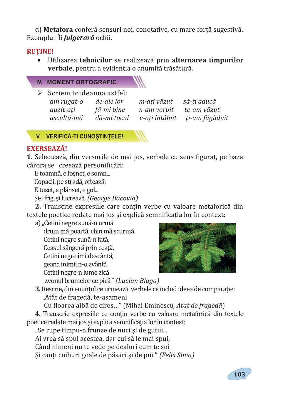 Мініатюра 103