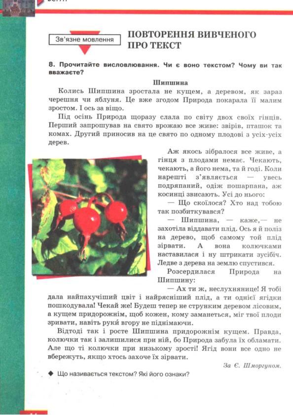Мініатюра 17