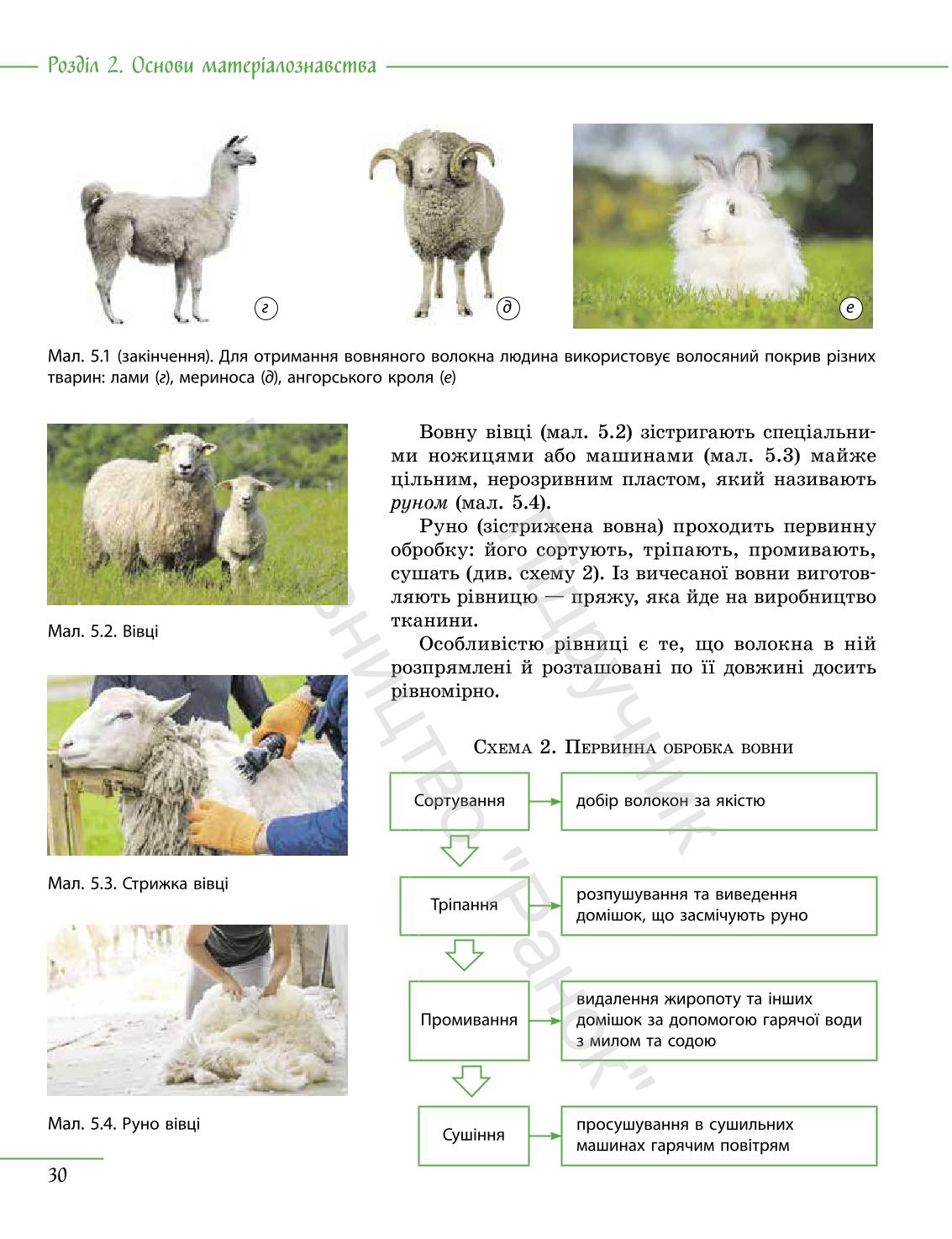Мініатюра 30
