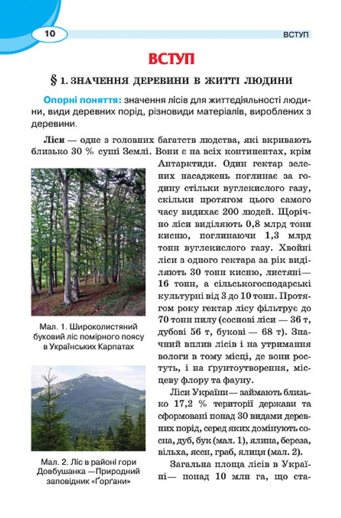 Мініатюра 10