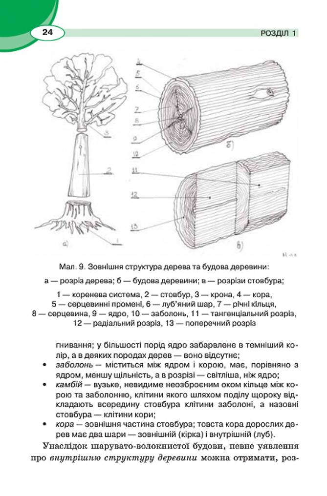Мініатюра 24
