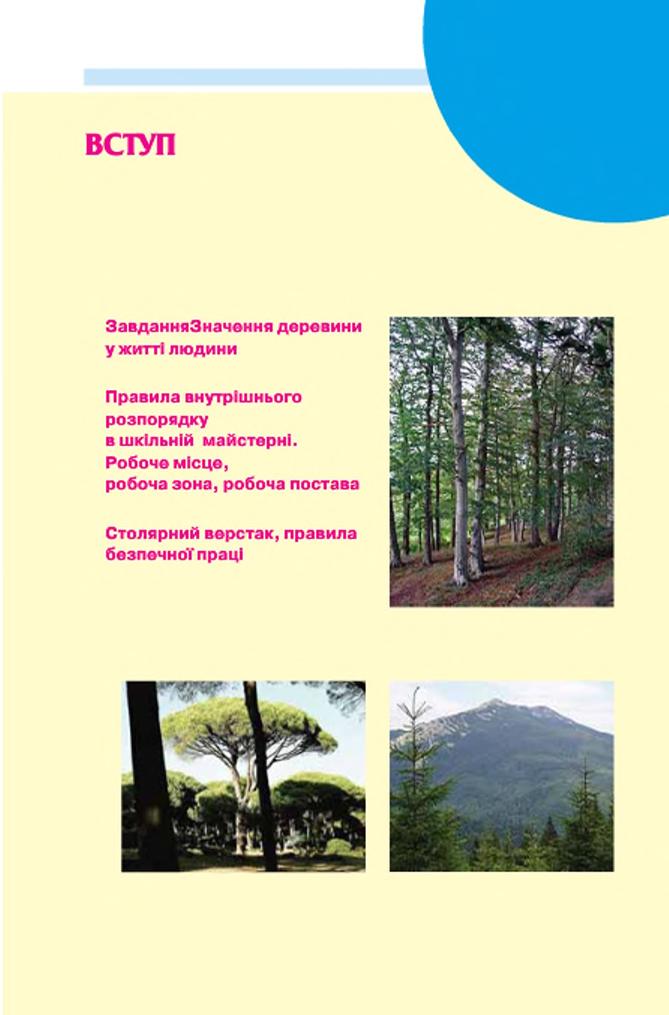Мініатюра 9