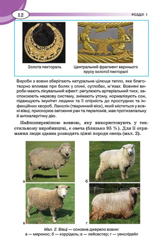 Мініатюра 12
