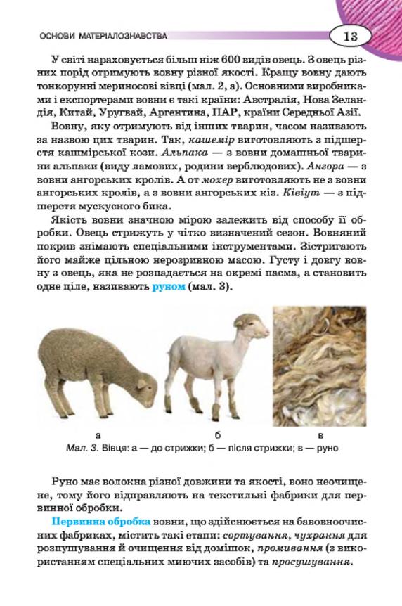 Мініатюра 13