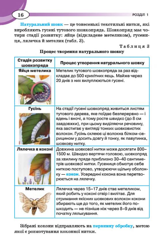 Мініатюра 16
