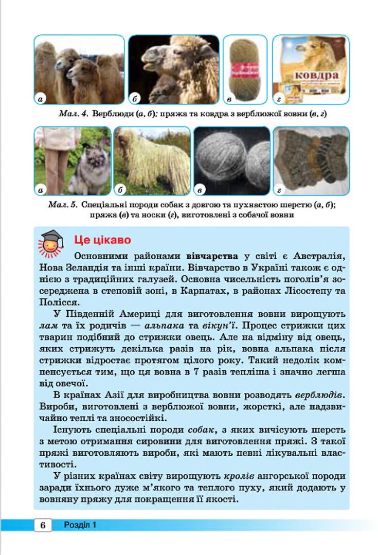 Мініатюра 6