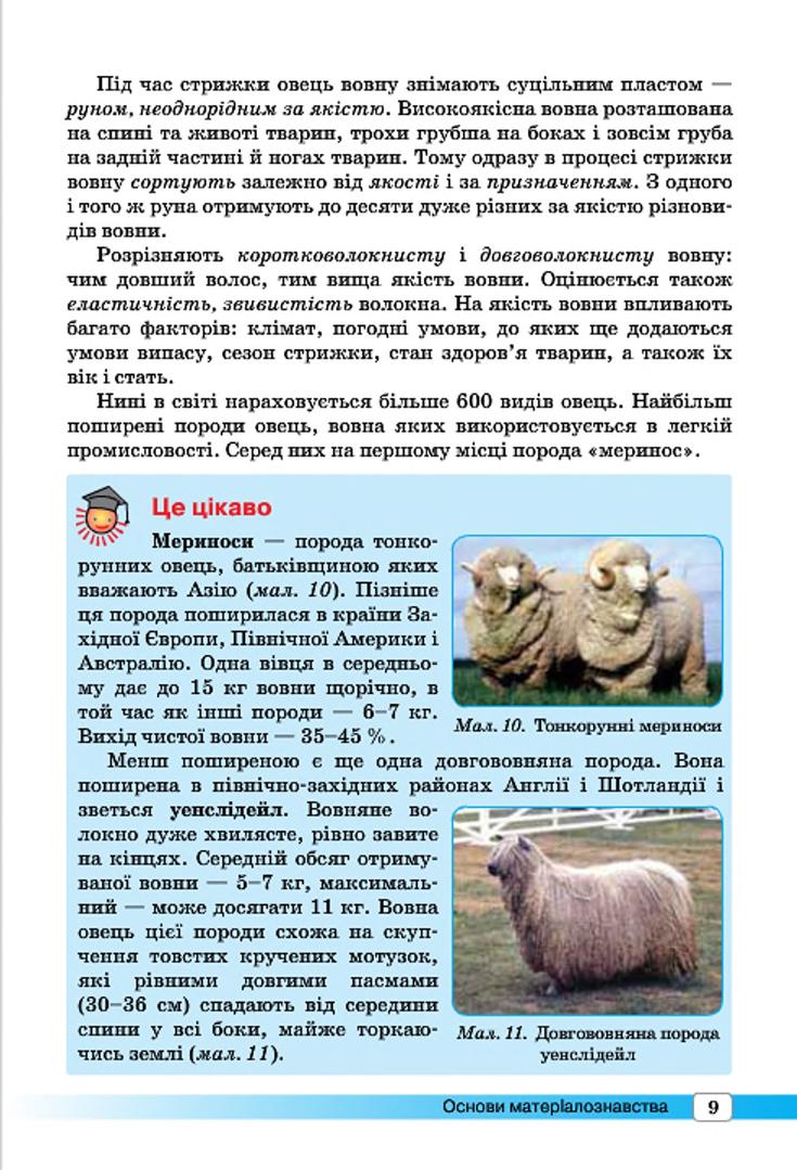 Мініатюра 9