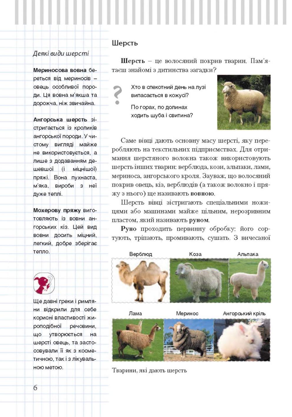 Мініатюра 6