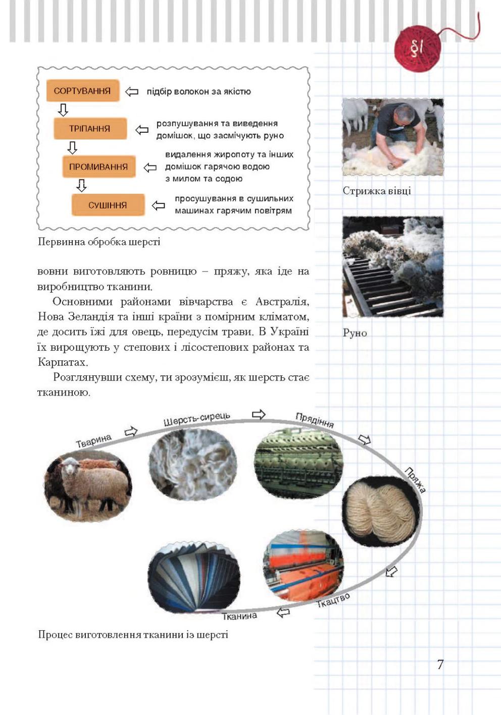 Мініатюра 7