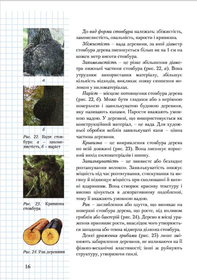 Мініатюра 16