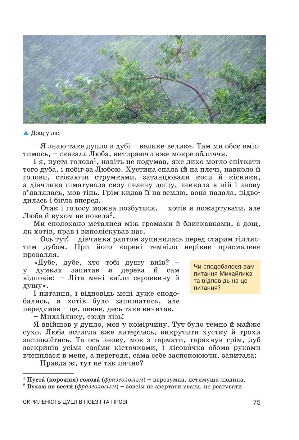Мініатюра 75