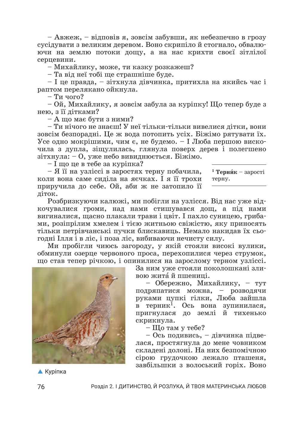Мініатюра 76