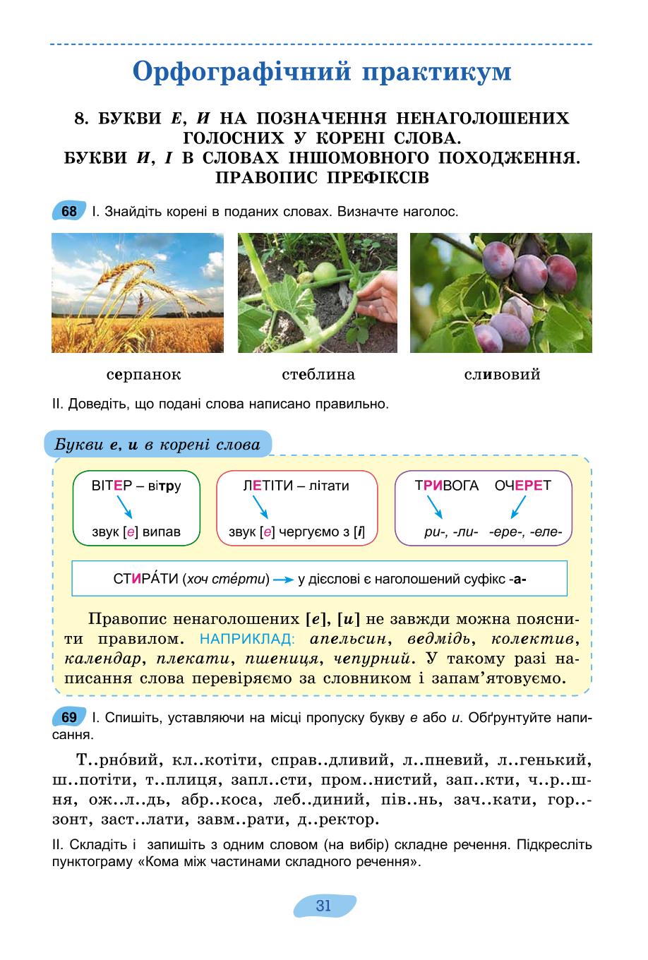 Мініатюра 31