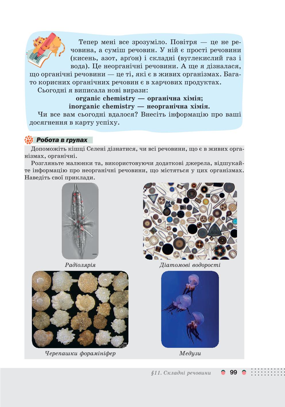 Мініатюра 99