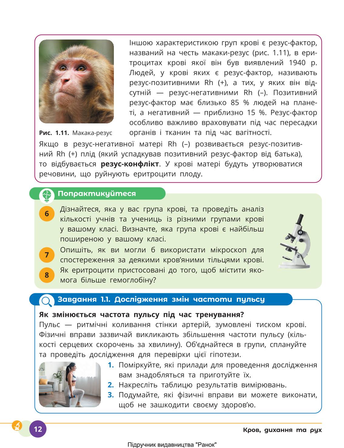 Мініатюра 12