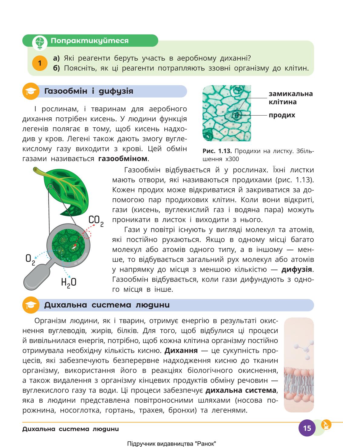 Мініатюра 15