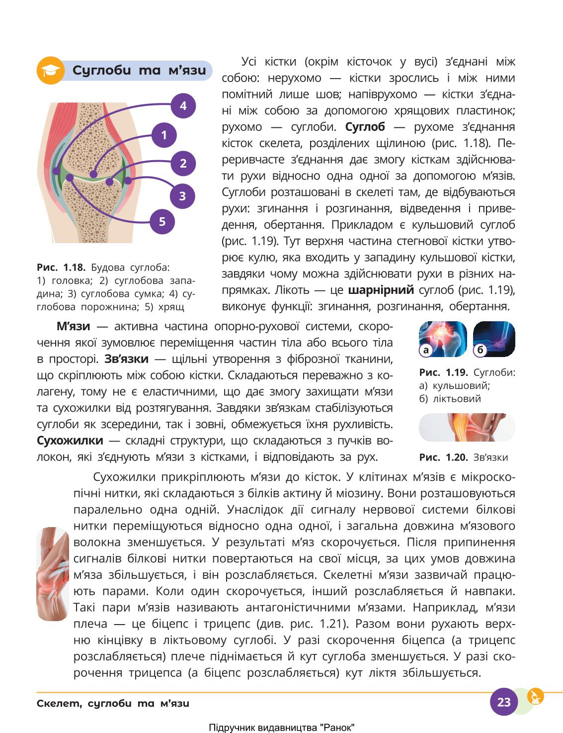 Мініатюра 23