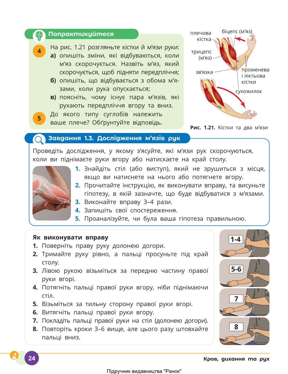 Мініатюра 24
