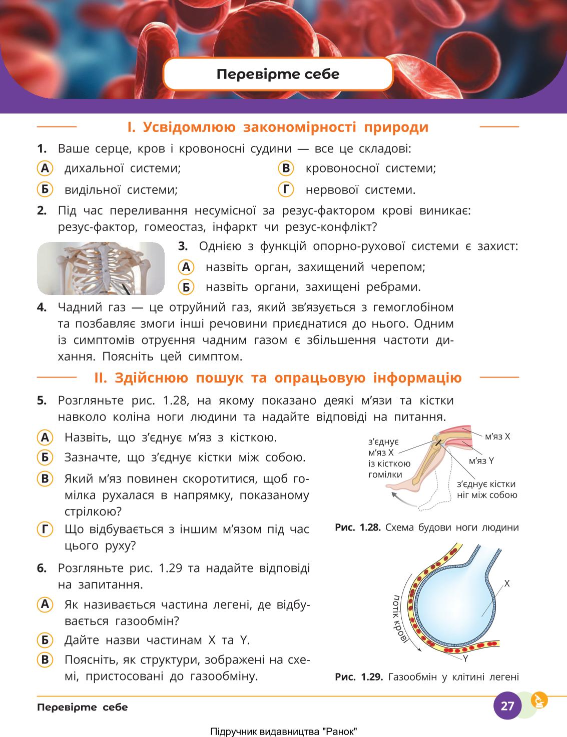 Мініатюра 27