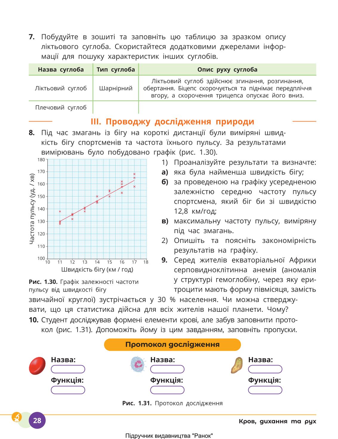 Мініатюра 28