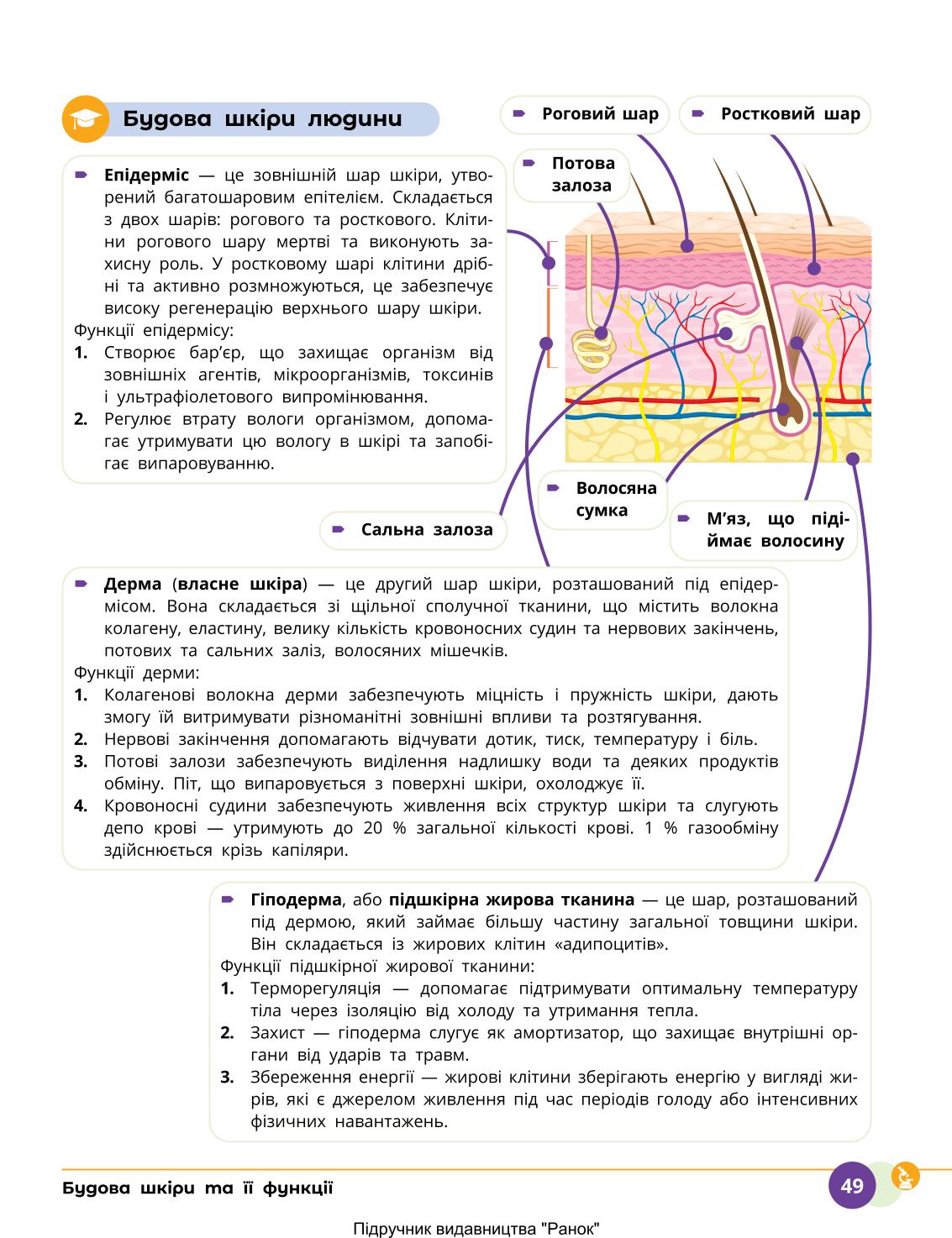 Мініатюра 49