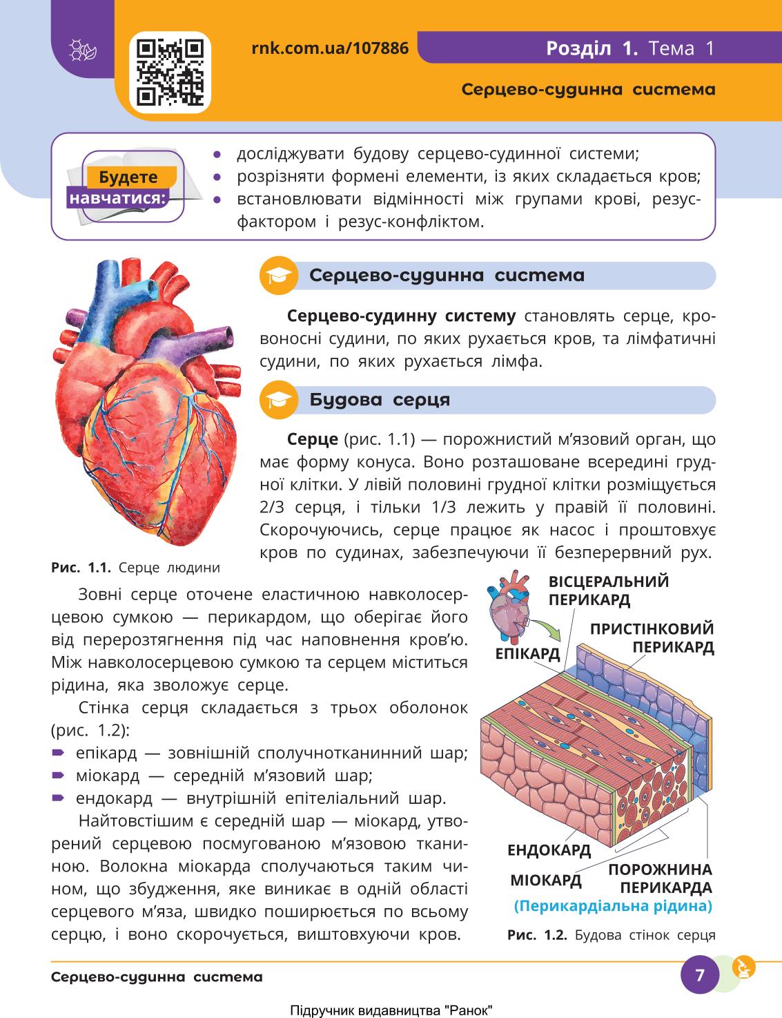 Мініатюра 7