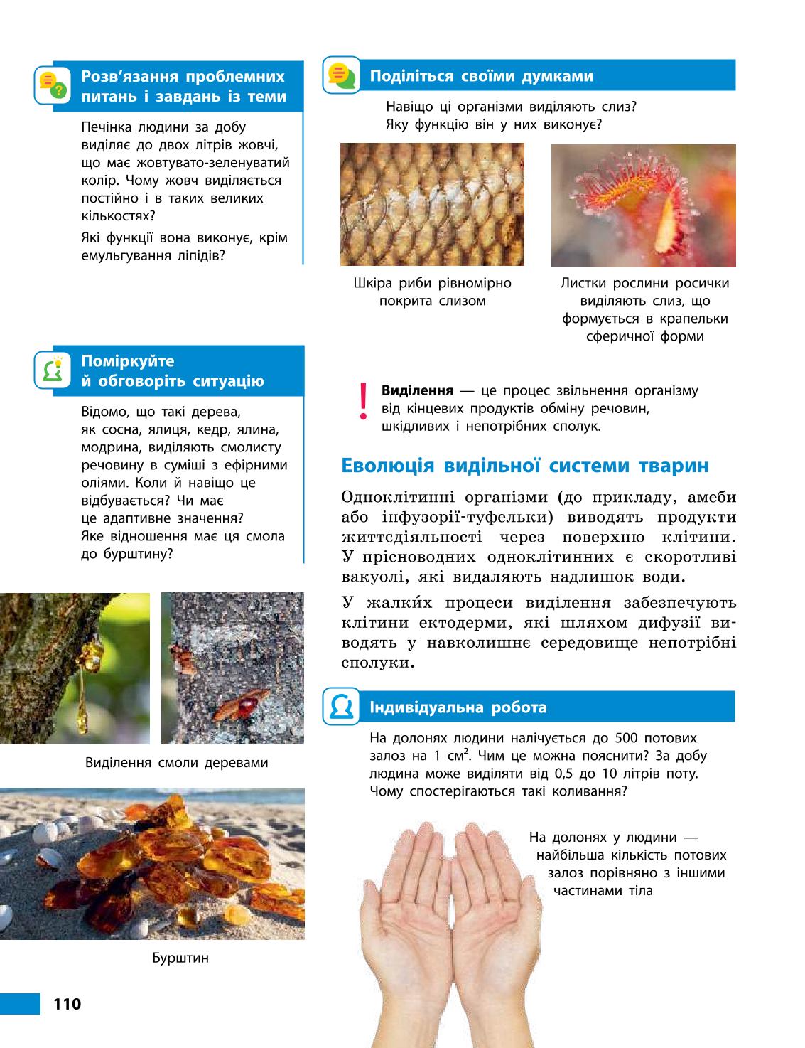 Мініатюра 110