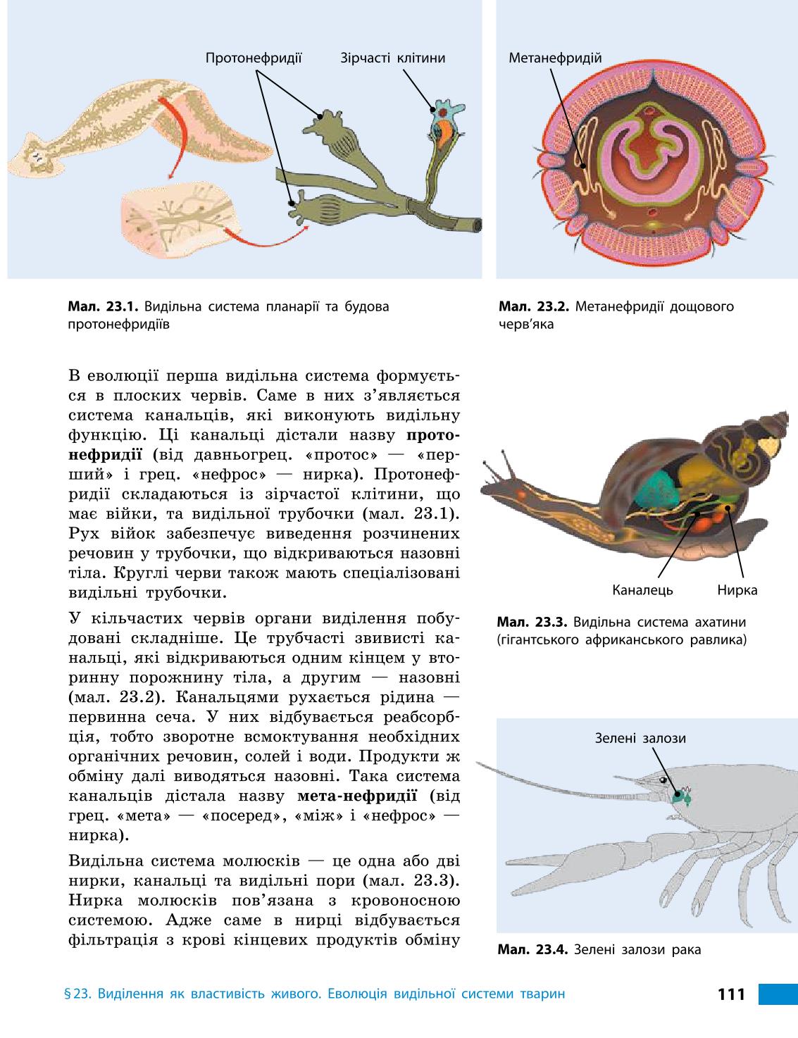 Мініатюра 111