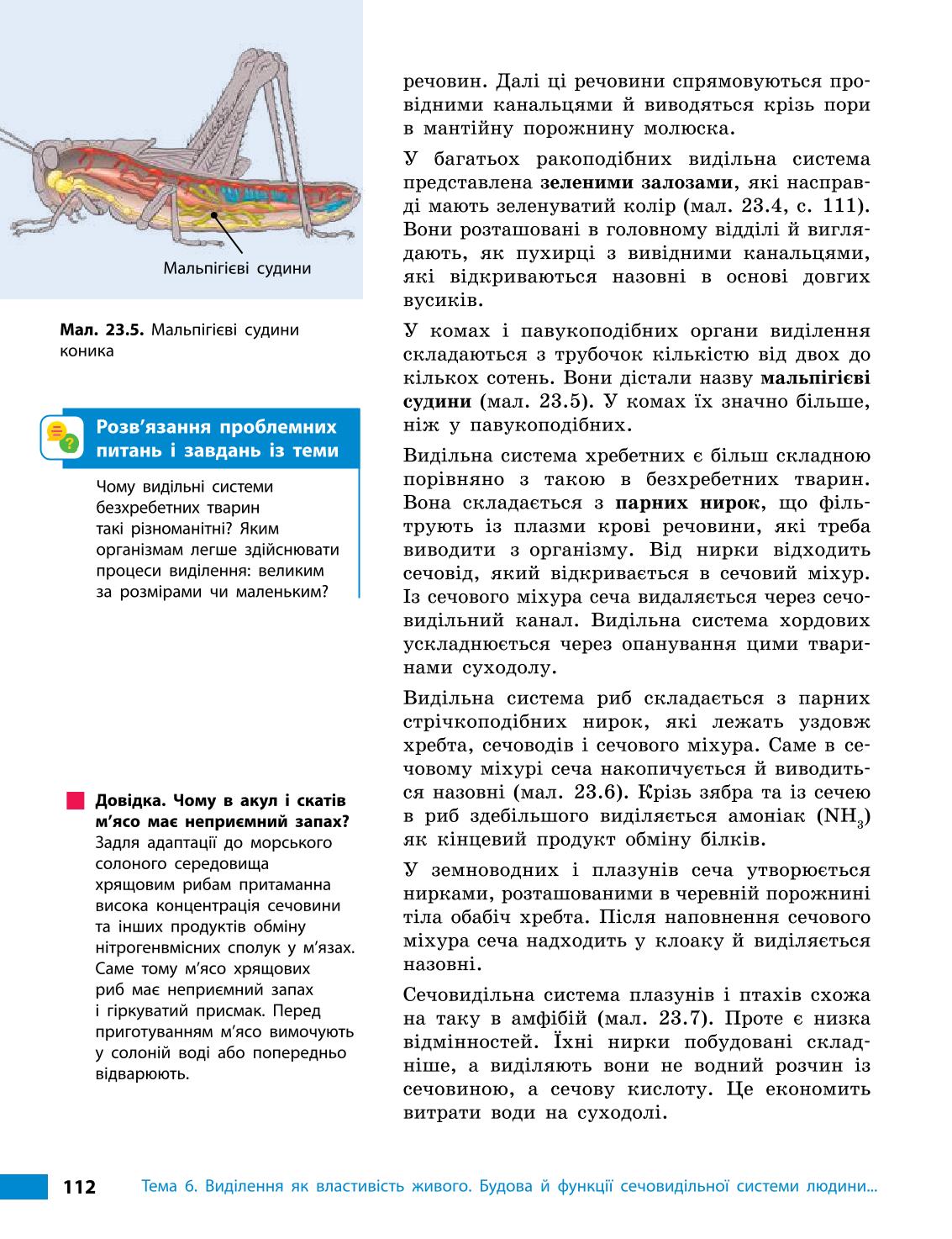Мініатюра 112