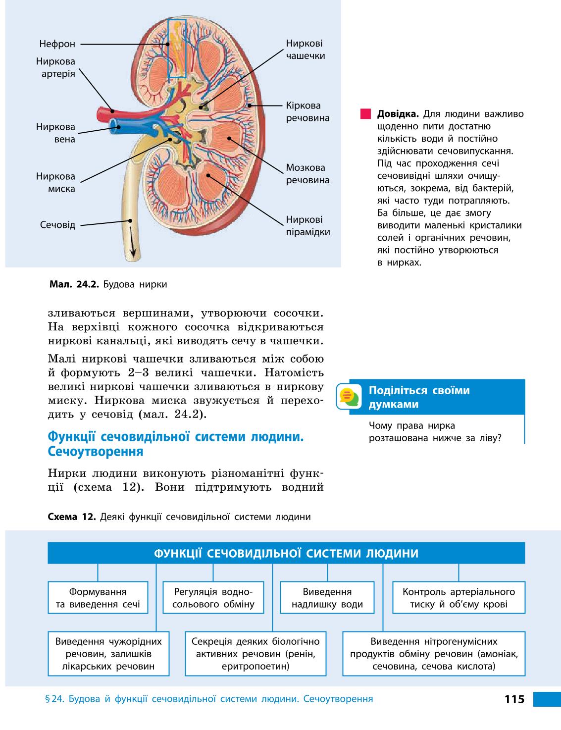 Мініатюра 115